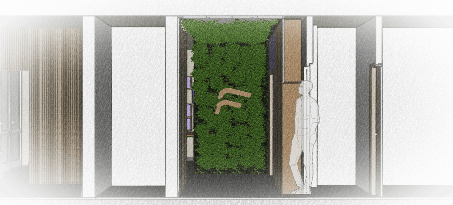 Flanker — INGRESSO 2